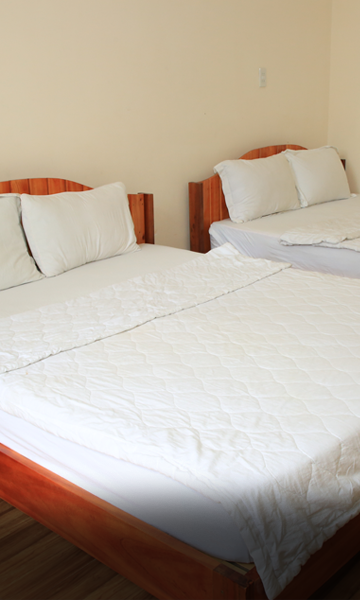 PHÒNG 4 NGƯỜI HƯỚNG VƯỜN