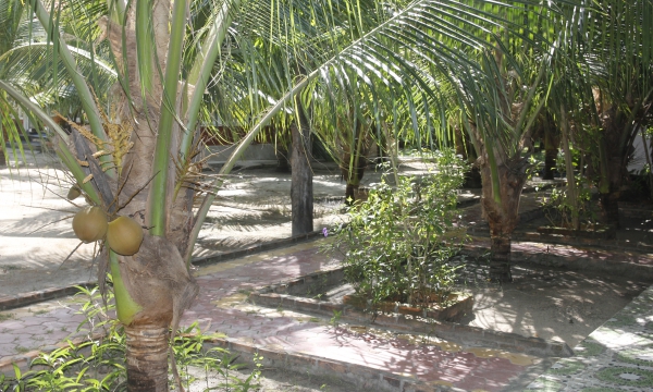 PHÒNG 4 NGƯỜI HƯỚNG VƯỜN